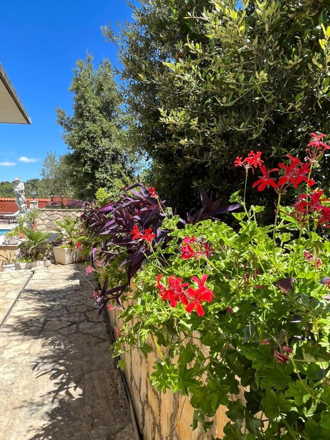 Gorana With Swimming Pool * Jelsa (Hvar)