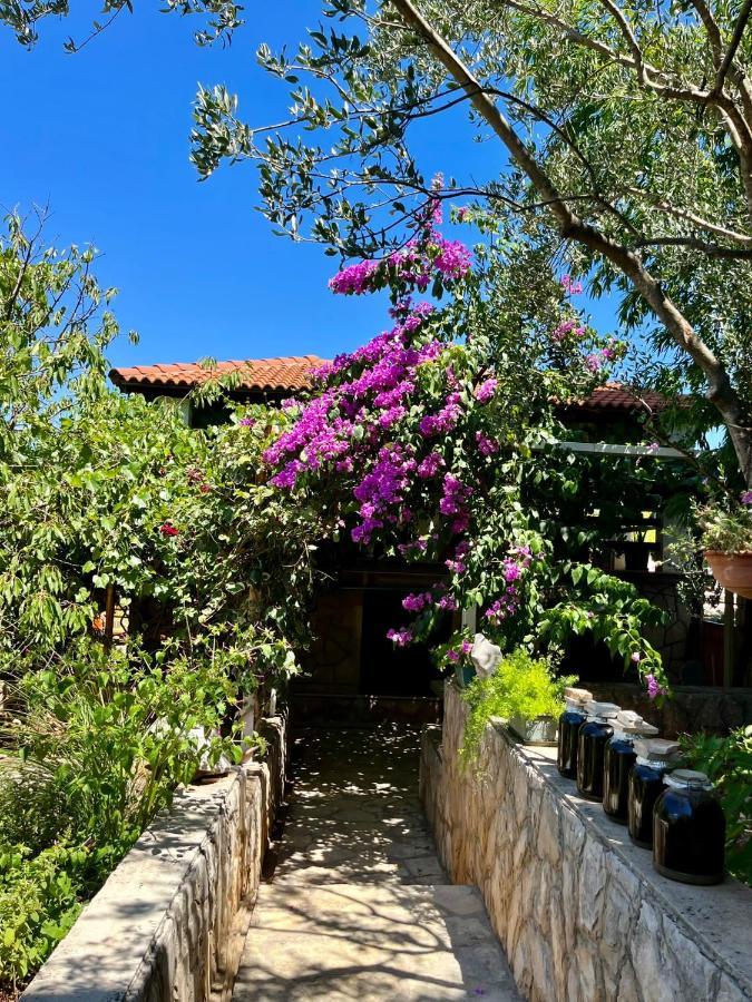 Gorana With Swimming Pool * Jelsa (Hvar)